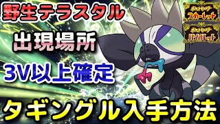 【ポケモンSV】タギングル（野生テラスタル）入手方法！固定シンボル出現場所！3V以上確定で育成しやすい！【スカーレット・バイオレット】