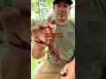 HOW STRONG IS A CRAWFISH PINCH?!  #crawfish #Louisiana #seafood #Cajun #crawfishboil #animalfacts