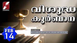 HOLY MASS LIVE @ 6 AM, 14 FEB 2025|FR PHILIP NEDUMTHURUTHIL VC|MALAYALAM QURBANA|TODAY MASS|GOODNESS