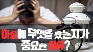 아침에 본 무언가가 중요한 이유