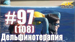 Дельфинотерапия. Занятие №97 (108)