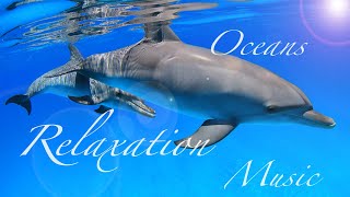 癒しの音楽と海の写真集 リラックスタイム・睡眠時・瞑想・ヨガ・サロン・作業などに Healing Music\u0026Dolphins