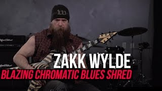 Zakk Wylde - Blazing Fast Chromatic Blues Shred Lick!