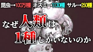 【普通は複数種いる】ヒト科ヒト属の生物が1種しかいない理由【ゆっくり解説】【雑学】