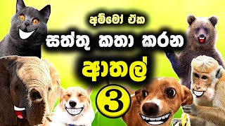 සත්තු කතා කරන ආතල් - 3 කොටස | Animal athal sri lanka | 2024 2025 | sattu katha video sinhala meme