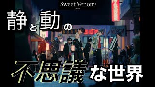 【ENHYPEN】Sweet Venomの不思議な世界に迷い込むMV