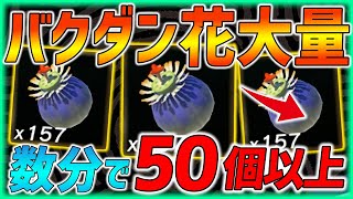 【ティアキン】バクダン花が数分で50個以上集まる最高ルート紹介！【ティアーズオブザキングダム  ガノンドロフ】