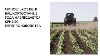 МИНСЕЛЬХОЗ РБ: В БАШКОРТОСТАНЕ 3 ГОДА НАБЛЮДАЕТСЯ КРИЗИС ПЕРЕПРОИЗВОДСТВА