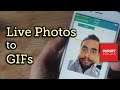 Convert Your iPhone's Live Photos to Animated GIFs [How-To]