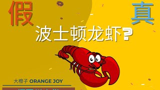 你吃的波士顿龙虾是真的吗？ 【大橙子Orange Joy】吃遍美国50州