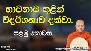 භාවනාව තුළින් විදර්ශනාව දක්වා. පළමු කොටස.2662Ven Hasalaka Seelawimala Thero