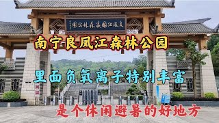 南宁良凤江国家森林公园，里面负氧离子特别多，是休闲避暑好地方