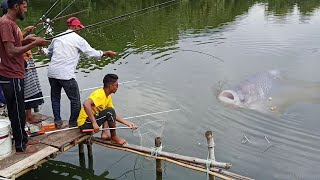 Big Katol Fish Hunting By Hook,Fishing by hook,Hook Fishing Competition in Comilla Dhormo sagor Par