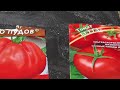 Посадив эти 3 сорта томатов вы будете удивлены их урожайностью и вкусом я обязательно посажу в 2023