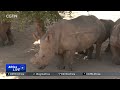 south african purvance skiwambana one of a few women in conservation field