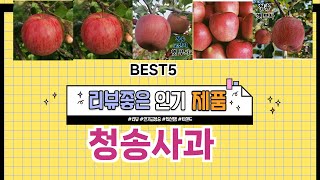 ✨청송사과 TOP 5 추천 🎁 효과와 가성비 모두 잡은 인기템 공개!