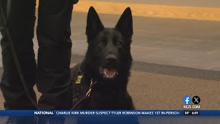 New K9 makes big impact at Springfield Police Department