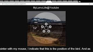How to play - Lumosity - Eagle Eye - Brain Games