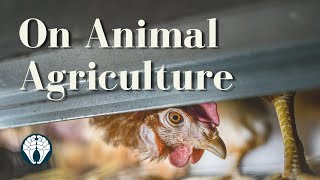 An Animal Conversation on Animal Agriculture with Kathryn Gillespie and Jan Dutkiewicz