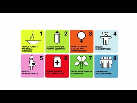 What are the Sustainable Development Goals (SDGs)?