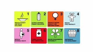 What are the Sustainable Development Goals (SDGs)?