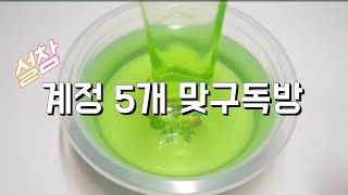 계정 5개 맞구독방 || 양식 설참