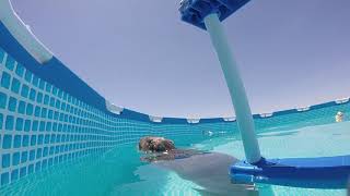 Capybara in a pool