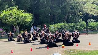 風魅彩『CROWN SHYNESS』／あけぼの山農業公園 夏まつり（2023/07/23）@あけぼの山農業公園 ふるさと広場（千葉県柏市）