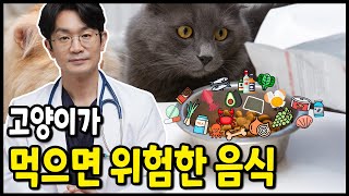 고양이가 먹으면 위험한 음식을 알아보자.