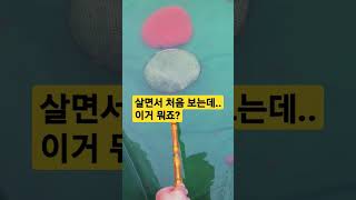 살면서 처음 보는데 이거 뭐죠? #shorts