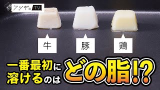 「フシギなTV」No.6一番とろける脂はどれ？ 　NGKサイエンスサイト【日本ガイシ】