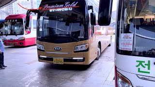 কোরিয়াতে প্রথম শ্রেণীর বেড বাস 🛌 🚌 | প্রিমিয়াম বাস