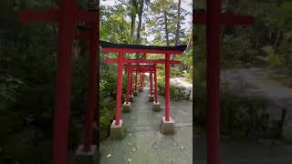 鳳凰と龍神様に会える⁉︎15秒の神社参拝⛩