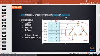 2019年阿里数据库索引面试题，100分钟讲透MySQL索引底层原理！ P1  索引的本质讲解