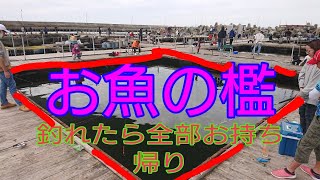 釣り堀に行ってみた！EP32  I went to the fishing pond