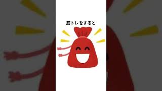 筋肉に関する雑学#shorts #雑学 #筋肉 #筋トレ #いらすとや VOICEVOX:青山龍星