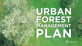 Urban Forest Management Plan