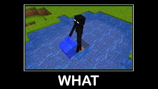 WAIT WHAT (Minecraft) #59