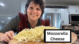 MOZZARELLA CHEESE & Lasagna 100% From Scratch