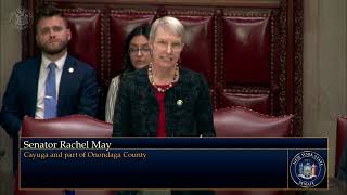 Senator Rachel May Recognized Volunteer Firefighters on New York Senate Floor