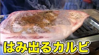 【巨大焼肉】はみ出るカルビを乱れ食い！！！