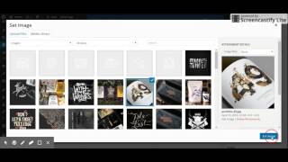 Austin Theme - Info shortcode