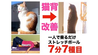 【猫背改善】7分7種目でできるストレッチポールを使ったセルフケア ベーシック7(セブン)