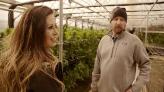 Weediatrics: A Covert Medical Mission 2019 medical cannabis documentary trailer