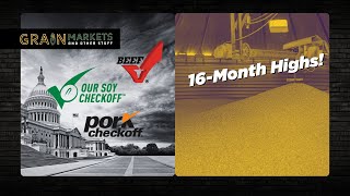 Corn Trades 16-Month Highs + DOGE Tackles Checkoff Programs