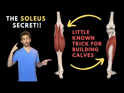 Which 3 muscles make up the calf muscle?