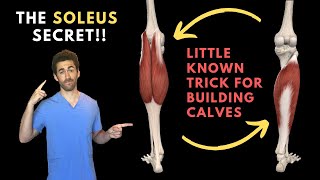 The Soleus Secret (The Anatomy behind Calf Definition and Volume)