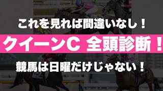 【クイーンC 全頭診断！】これを見れば間違いなし！！競馬は日曜だけじゃない！！