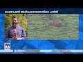 അരിക്കൊമ്പൻ ദൗത്യം ഹൈക്കോടതി തടഞ്ഞതില്‍ ജനരോഷം arikomban