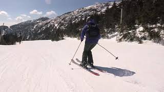 2020 Ski Test - Blizzard Sheeva 9 Women's Skis